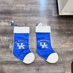 C & F Enterprises Collegiate UK Wildcats Stockings‎ NWT